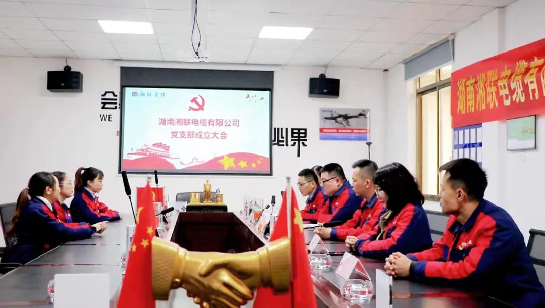 新征程 | 熱烈祝賀湖南湘聯(lián)電纜有限公司黨支部正式成立！