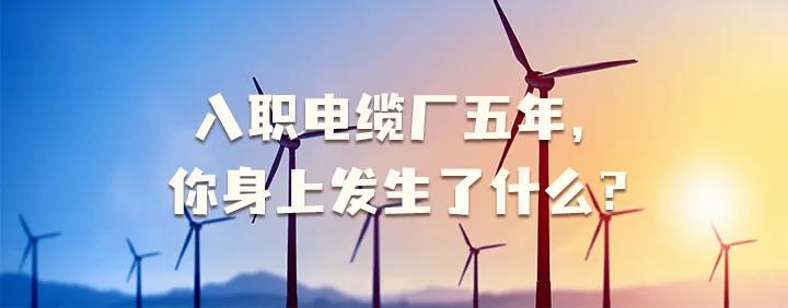 入職電纜廠五年，你身上發(fā)生了哪些變化~