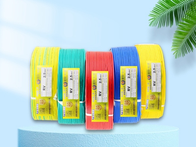 什么是RVVP屏蔽線？